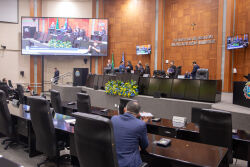 Sessão Plenária Ordinária