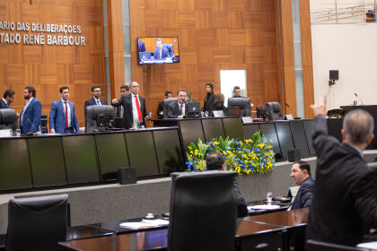 Sessão Plenária Ordinária