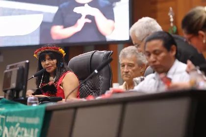 Audiência Pública debate economia indígena em Mato Grosso