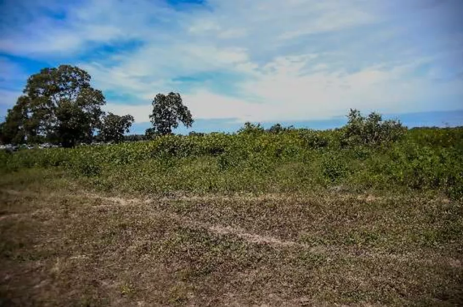 Comissão da ALMT retira de pauta projeto  que revoga reserva extrativista na Região Norte