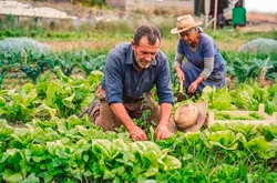 Comissão da ALMT aprova 29 propostas voltadas ao fortalecimento do setor agropecuário