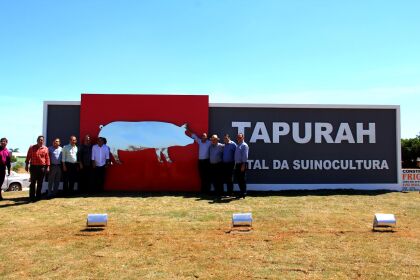 Tapurah é declarada capital da suinocultura em MT